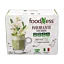 Matcha\u0020Latte\u0020met\u0020ginseng\u0020